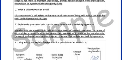 Sample-Page--Form-4-Bio-Notes-Gramm-V2