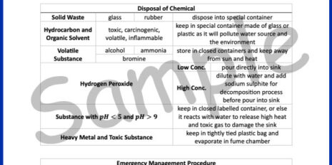 Sample-Page--Form-4-Chem-Notes-Gramm-V1