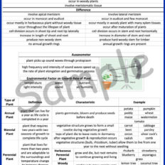 Sample-Page--Form-5-Bio-Notes-Gramm-V1