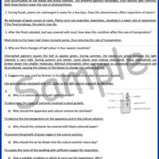 Sample-Page--Form-5-Bio-Notes-Gramm-V2