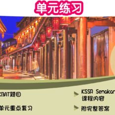 (BC)-Std-2-最新单元练习