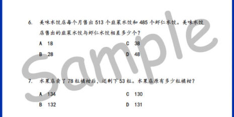 Std-2-MM-Topic-V1-Sample-Page