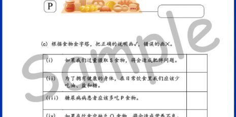 Std-3-SC-Topic-V2-Sample-Page