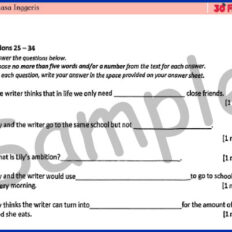 Form-2-BI-Mid-Year-Sample-V2