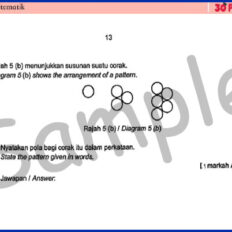 Form-2-MM-Mid-Year-Sample-V2