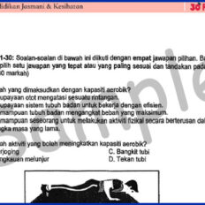 Form-2-PJK-Mid-Year-Sample-V1