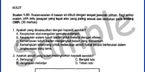 Form-2-PJK-Mid-Year-Sample-V1