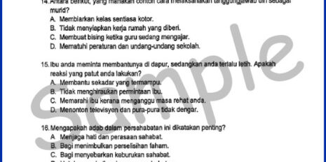 Form-2-PM-Mid-Year-Sample-V1