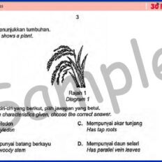 Form-2-SC-Mid-Year-Sample-V1