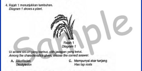 Form-2-SC-Mid-Year-Sample-V1