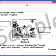 Form-2-SC-Mid-Year-Sample-V2