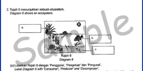 Form-2-SC-Mid-Year-Sample-V2