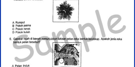 Form-2-Seni-Sample-Page-V1