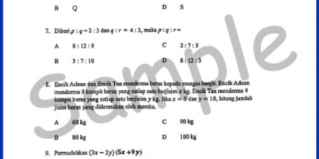 Form-1-Year-End-MM-V1-Sample-Page