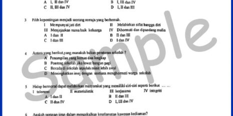 Form-1-Year-End-Moral-V1-Sample-Page
