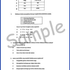 Form-1-Year-End-SC-V1-Sample-Page