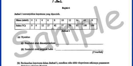 Form-1-Year-End-SC-V2-Sample-Page