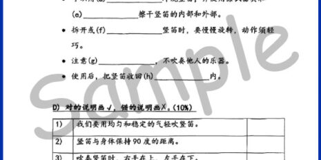 Std-3-Music-Sample-Page-V1