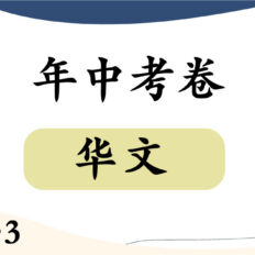 CIS-Junior-3-BC-Mid-Year