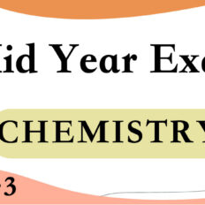 CIS-Junior-3-Chem-Mid-Year