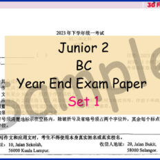 Jr-2-BC-Year-End-V1-Sample-Page