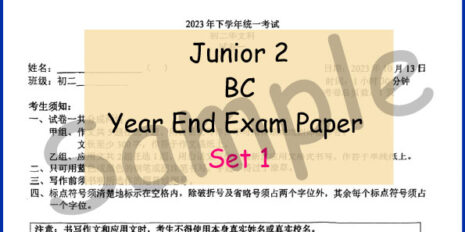 Jr-2-BC-Year-End-V1-Sample-Page