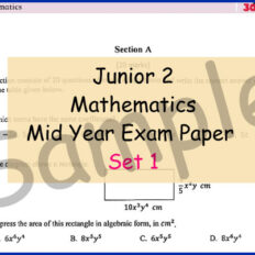 Jr-2-Mid-Year-MM-V1-Sample-Page