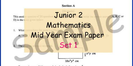 Jr-2-Mid-Year-MM-V1-Sample-Page
