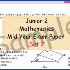 Jr-2-Mid-Year-MM-V2-Sample-Page