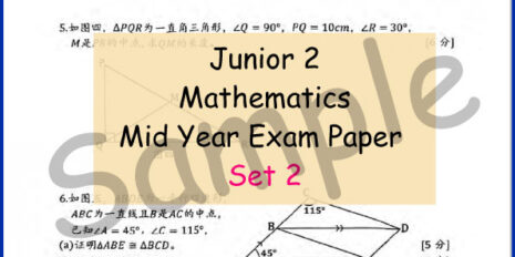 Jr-2-Mid-Year-MM-V2-Sample-Page