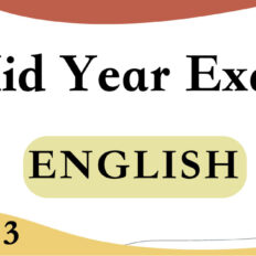 CIS-Junior-3-BI-Mid-Year