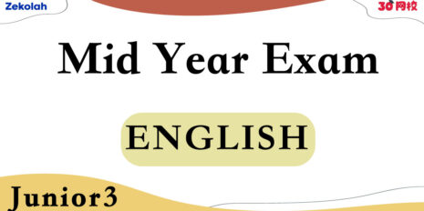 CIS-Junior-3-BI-Mid-Year