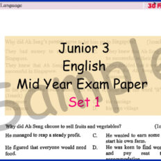 CIS-Junior-3-BI-Mid-Year-Sample-V1