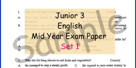 CIS-Junior-3-BI-Mid-Year-Sample-V1