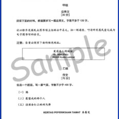 Form-4-BC-Year-End-Sample-Page-V1
