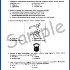 Form-4-Mid-Year-PJK-Sample-V1