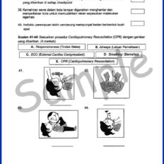 Form-4-Mid-Year-PJK-Sample-V2