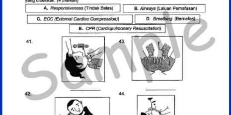 Form-4-Mid-Year-PJK-Sample-V2