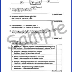 Form-1-SC-Sample-Page-V2