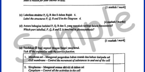 Form-1-SC-Sample-Page-V2 Form-1-SC-Sample-Page-V2