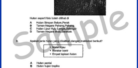 Form-3-Geo-Sample-Page-V1