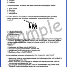 Form-3-PJK-Sample-Page-V1