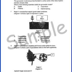 Form-3-SC-Sample-Page-V1