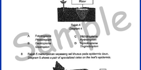Form-3-SC-Sample-Page-V1