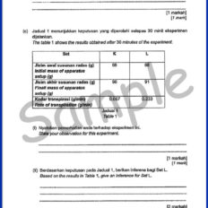 Form-3-SC-Sample-Page-V2