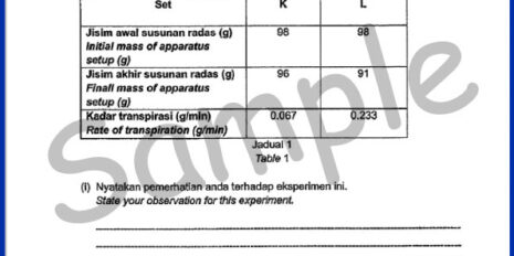 Form-3-SC-Sample-Page-V2