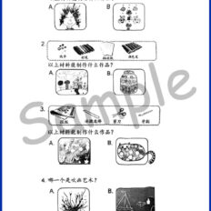 Std-1-PSV-Sample-Page-V1