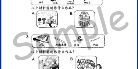Std-1-PSV-Sample-Page-V1