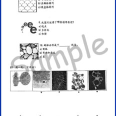 Std-3-PSV-Sample-Page-V1