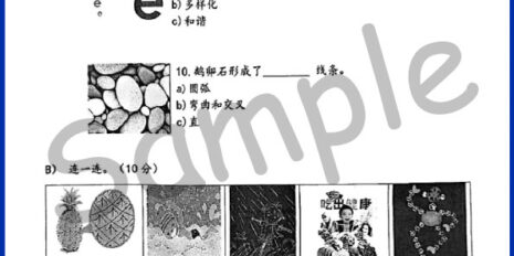 Std-3-PSV-Sample-Page-V1